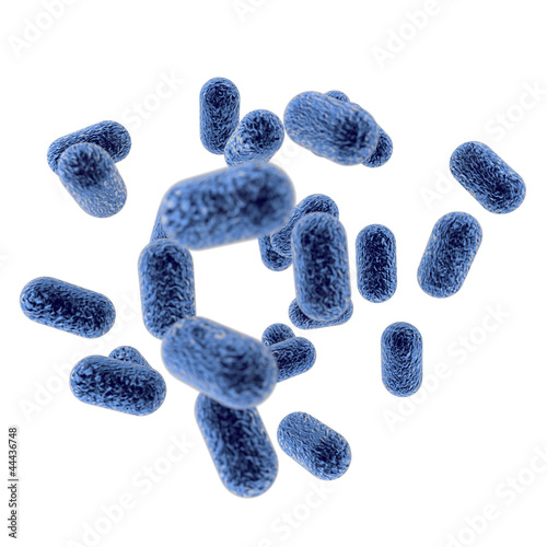Bactérie bleues sur fond blanc photo