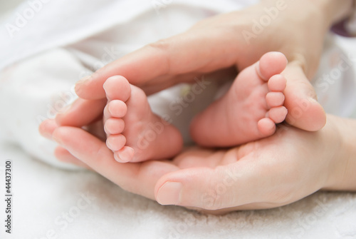 newborn baby feet on a female hand © Freer