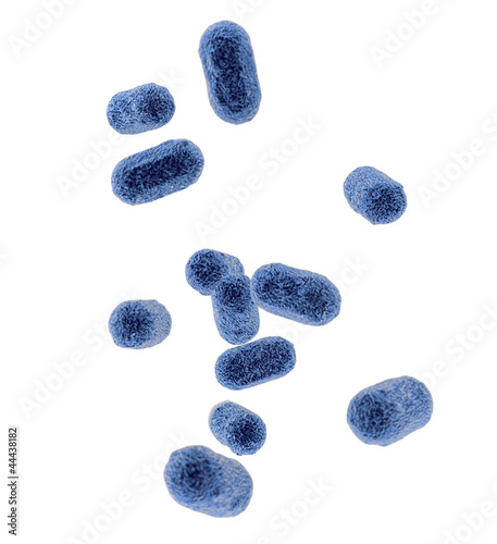 Bactérie bleues sur fond blanc