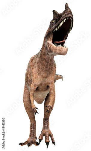 ceratosaurus