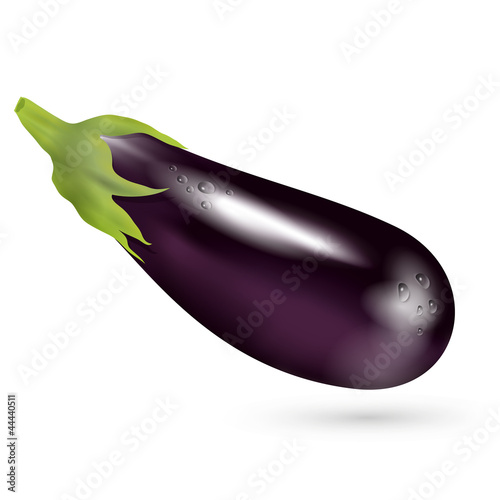 eggplant vector illustration