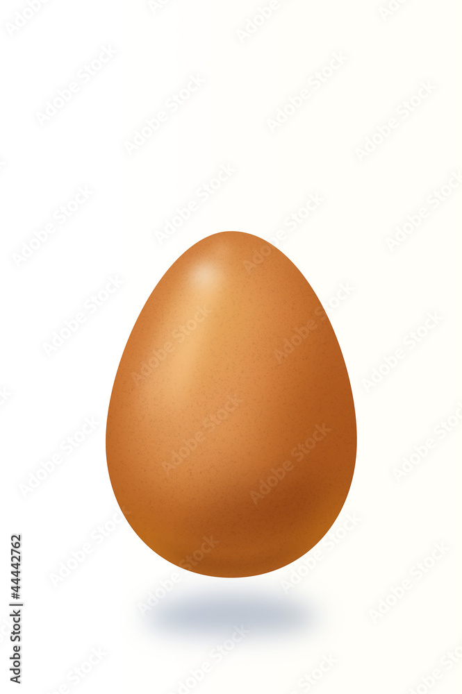 Whole egg Whole egg