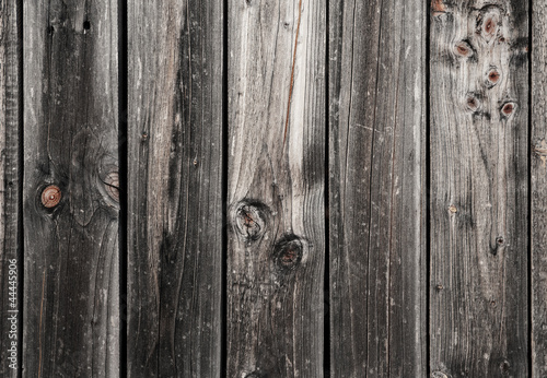 Tavole, assi di legno photo