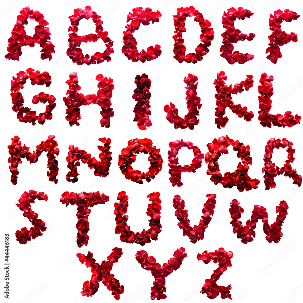 Alphabet letter A - Z made from red petals rose isolated on a wh Alphabet letter A - Z made from red petals rose isolated on a wh