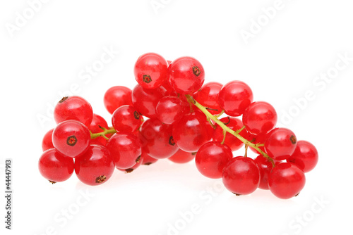 Johannisbeeren