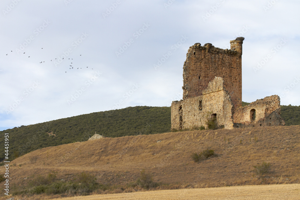 Ruins of medieval castle