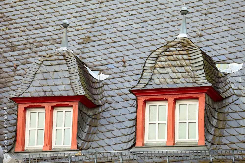 Obraz premium Historic roof