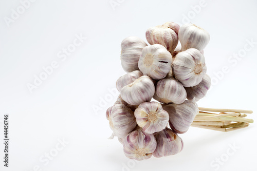 fresh garlic  on white background