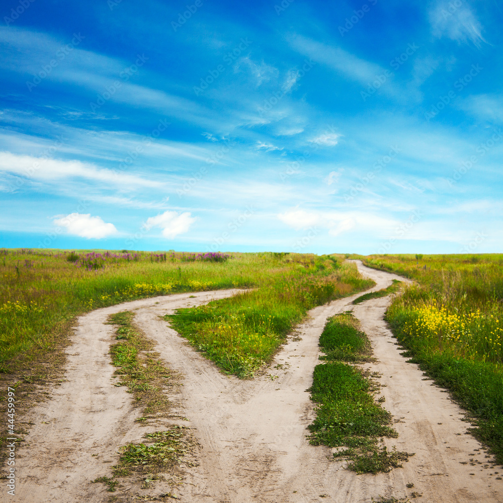 Naklejka premium roads in the fields