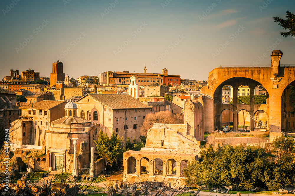 Fototapeta premium Ruins of Forum in Rome