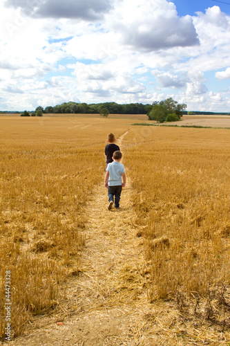 two boys walking through a wheat field