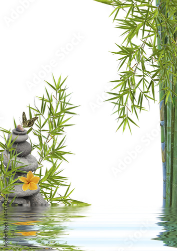 Plakat woda trawa motyl kwiat chiny