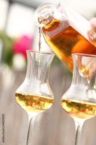 grappa