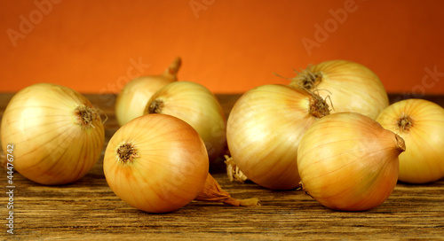 Obraz na plátně Cebula