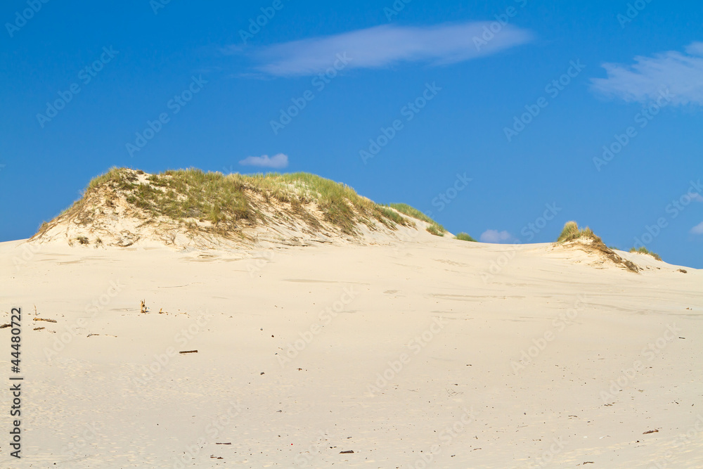 Shifting dunes near Baltic Sea in Leba, Poland