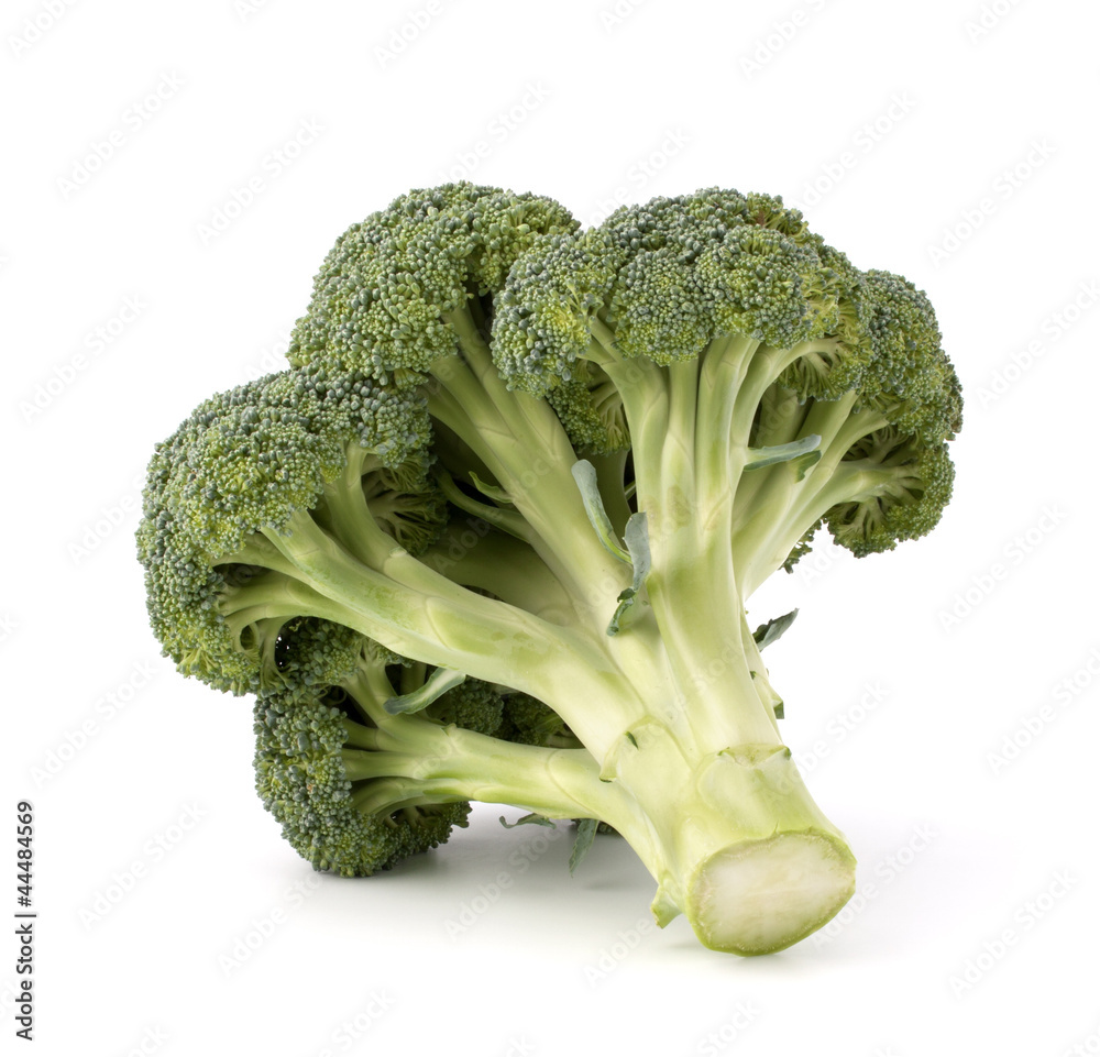 Broccoli vegetable Broccoli vegetable