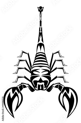 scorpion