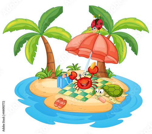 various animals on island