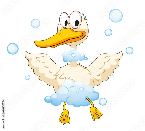 duck and foam