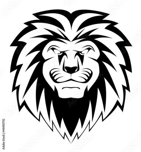 lion face