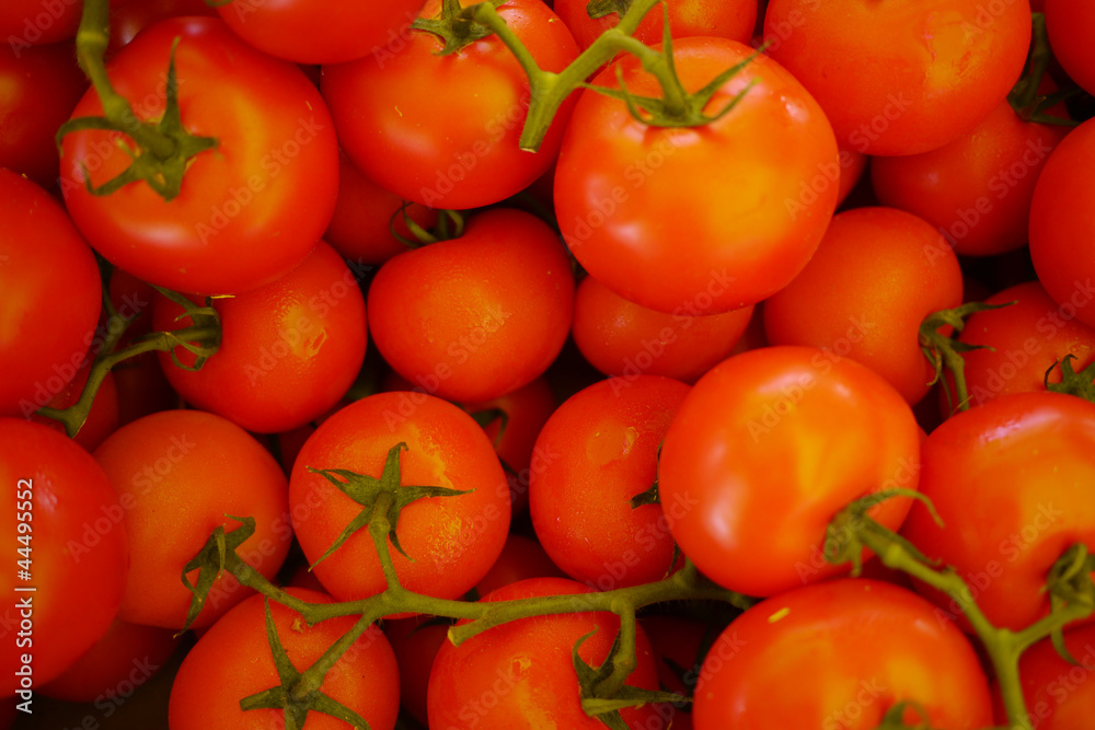 reed tomatoes