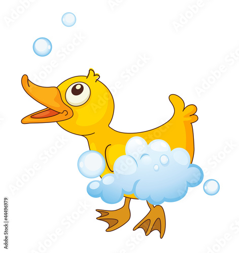 a bird
