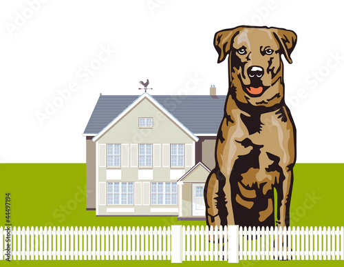 Aufmerksamer Wachhund
