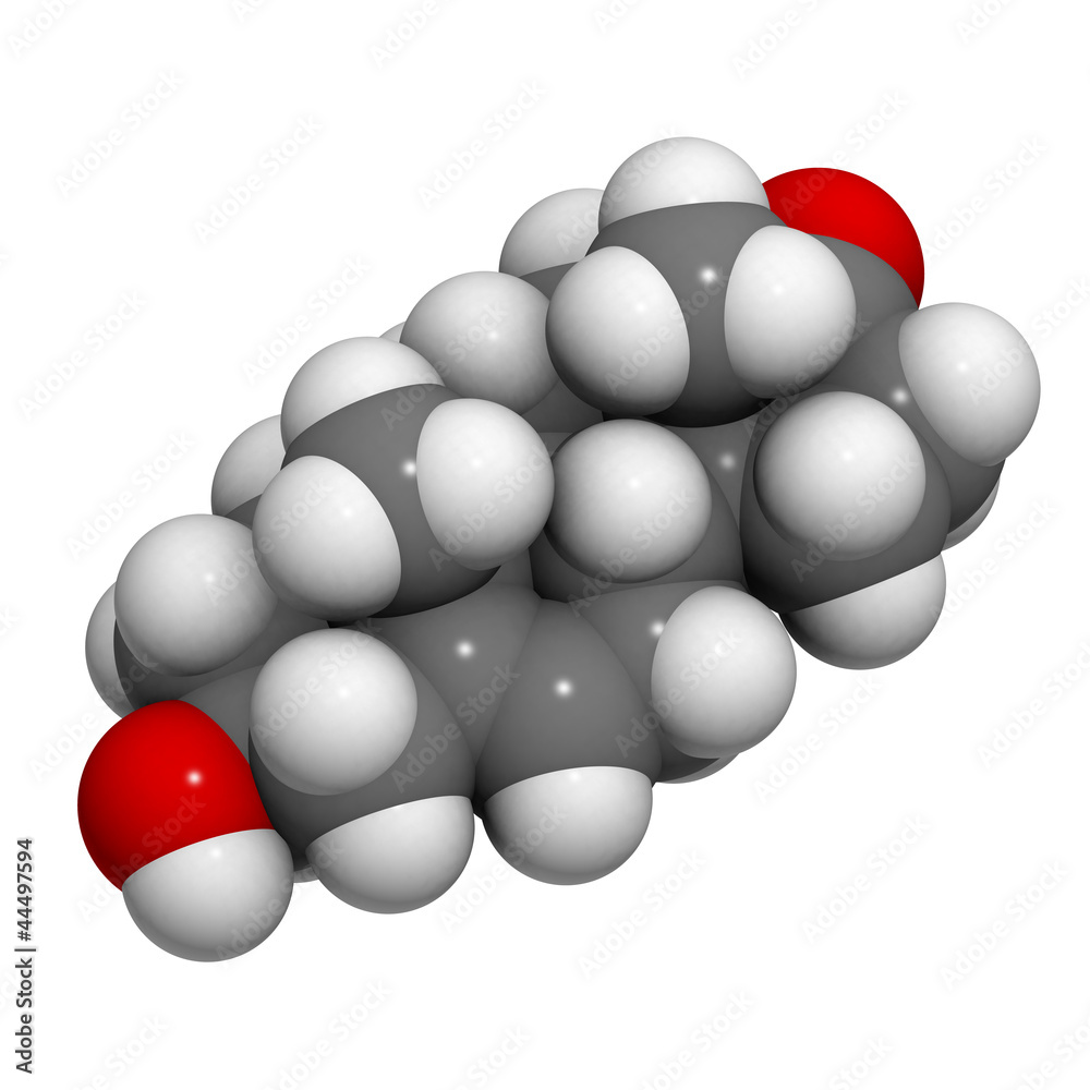 Dehydroepiandrosterone (DHEA, prasterone) molecule Dehydroepiandrosterone (DHEA, prasterone) molecule