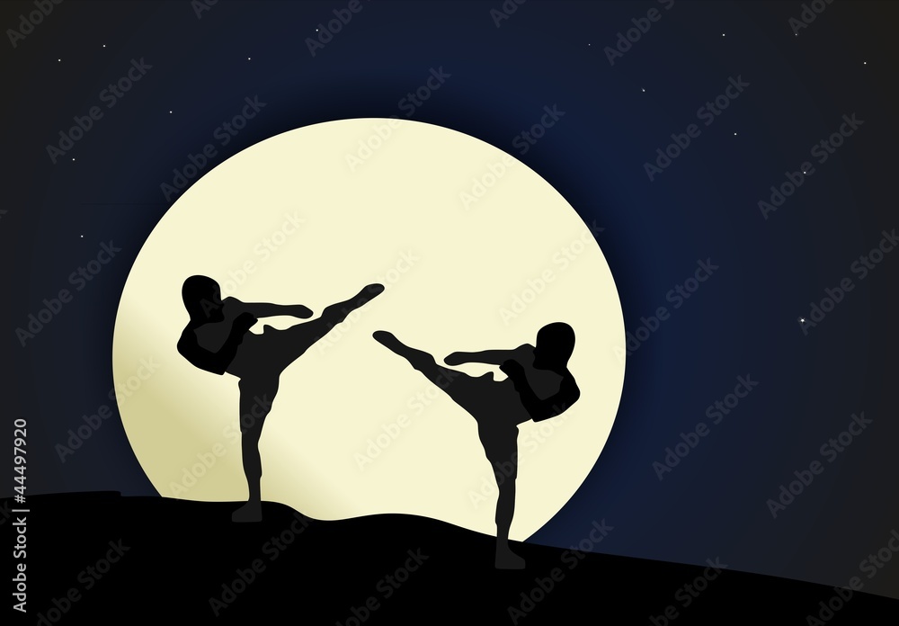 Fototapeta premium Night combat - Martial arts