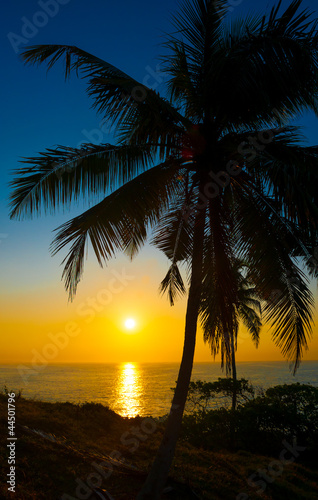 Beautiful tropical sunset #44501796