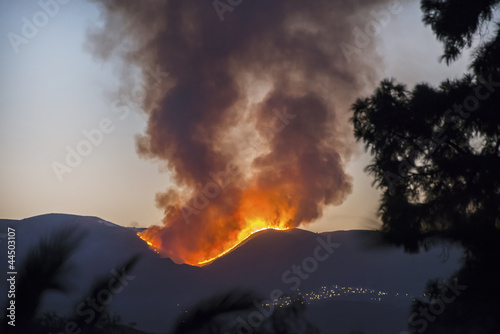Forest Fire near Bedar, Mojacar, Almeria, Andalusia, Spain photo