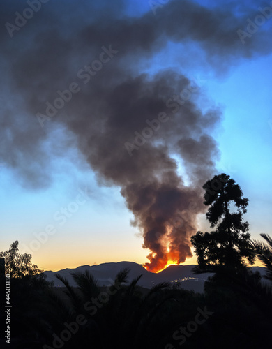 Forest Fire near Bedar, Mojacar, Almeria, Andalusia, Spain photo