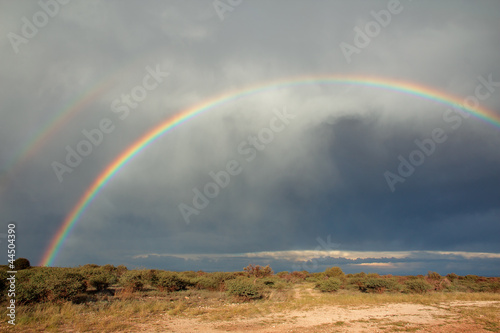 Rainbow landscape © EcoView