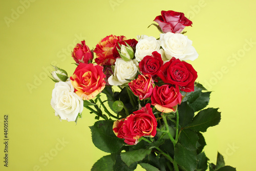 Bouquet of beautiful roses on green background close-up