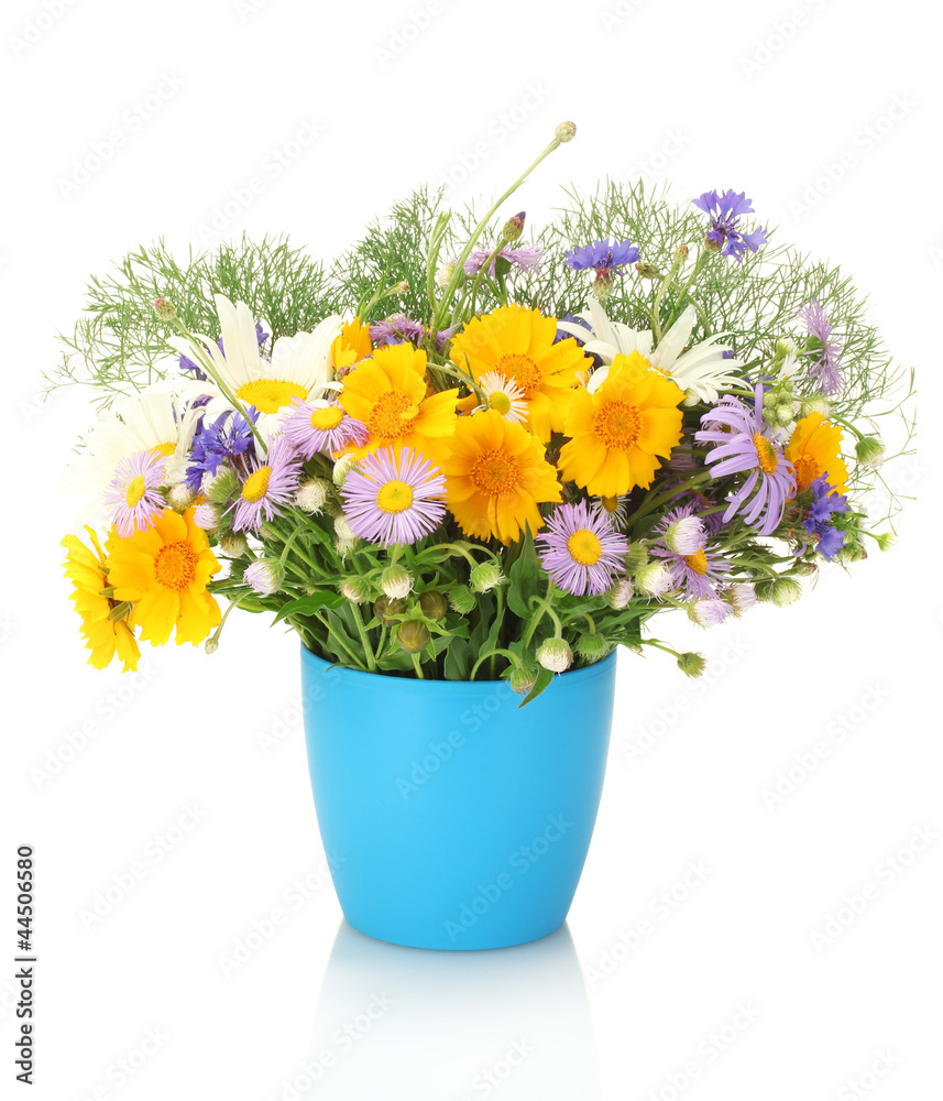 beautiful bouquet of bright wildflowers in flowerpot, isolated beautiful bouquet of bright wildflowers in flowerpot, isolated