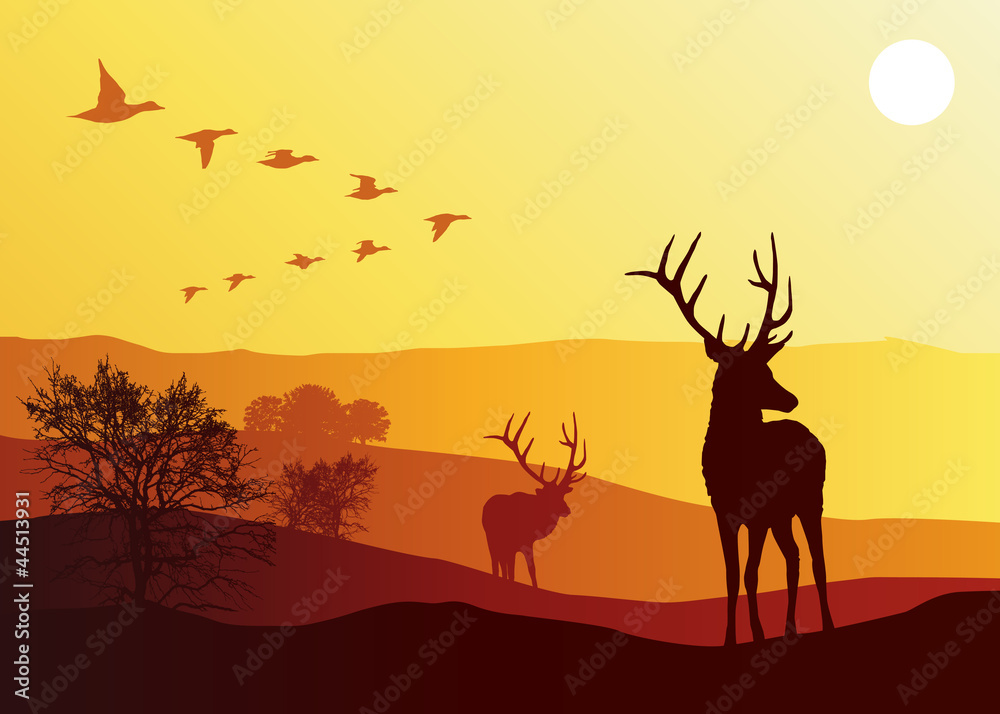 Fototapeta premium Montagne_Soleil