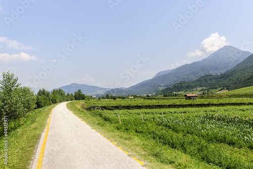 Cycle lane of the Adige valley