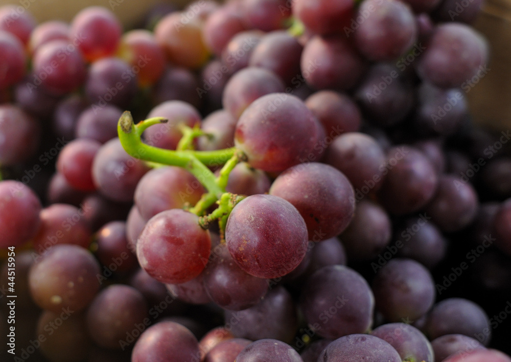 grapes grapes