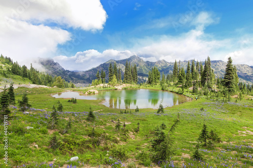 Mountain lake with green beautiful landscape