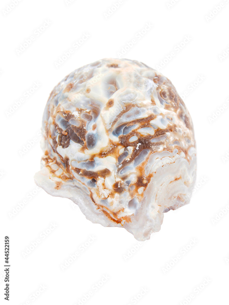 agate stone agate stone