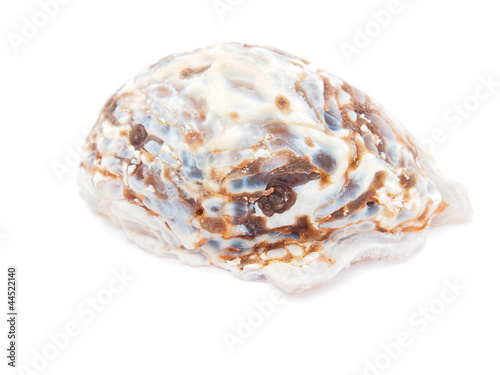 agate stone