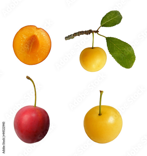 Fotografija mirabelle fruit