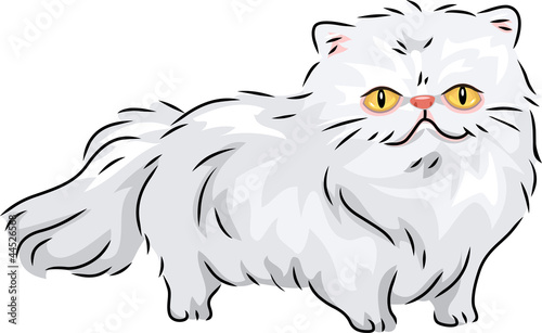 Persian Cat