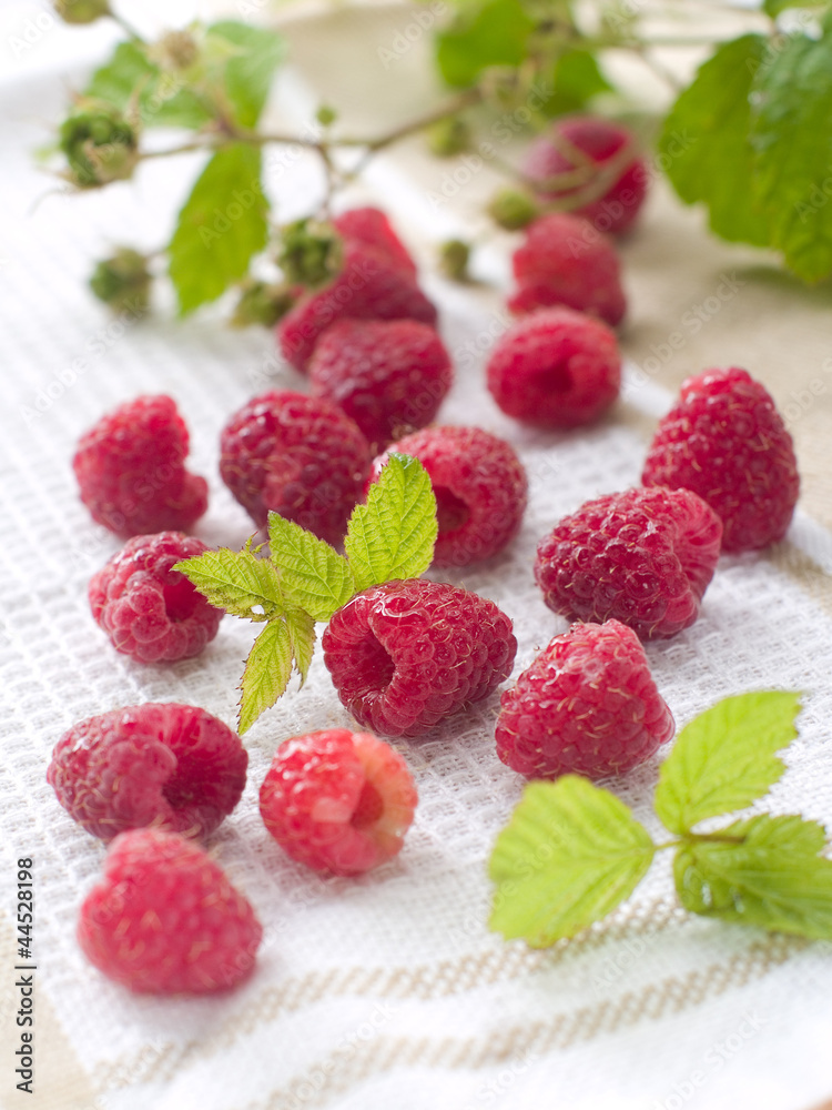 fresh raspberry fresh raspberry