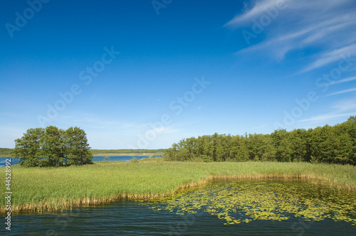 Shore of the lake