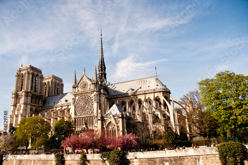 cathedral notre dame de paris