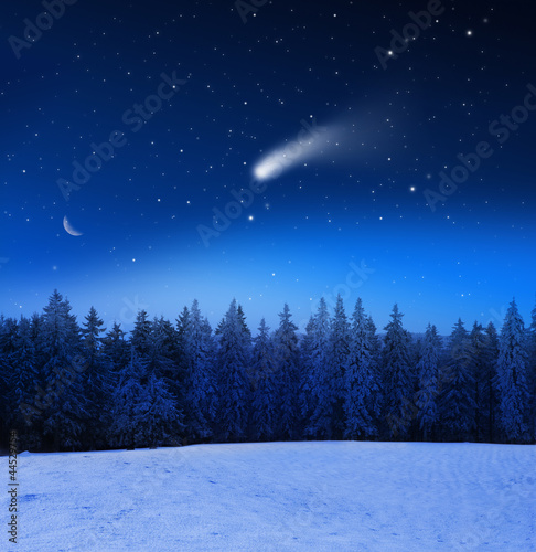 Sternehimmel über Winterwald