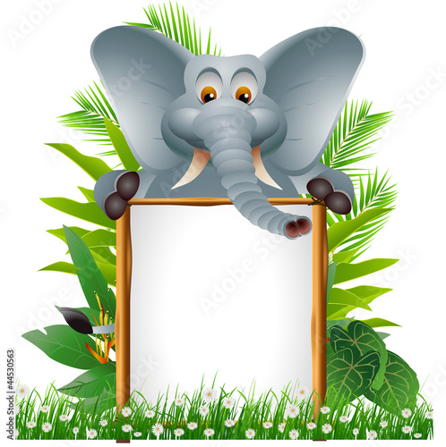 elephant cartoon with blank sign