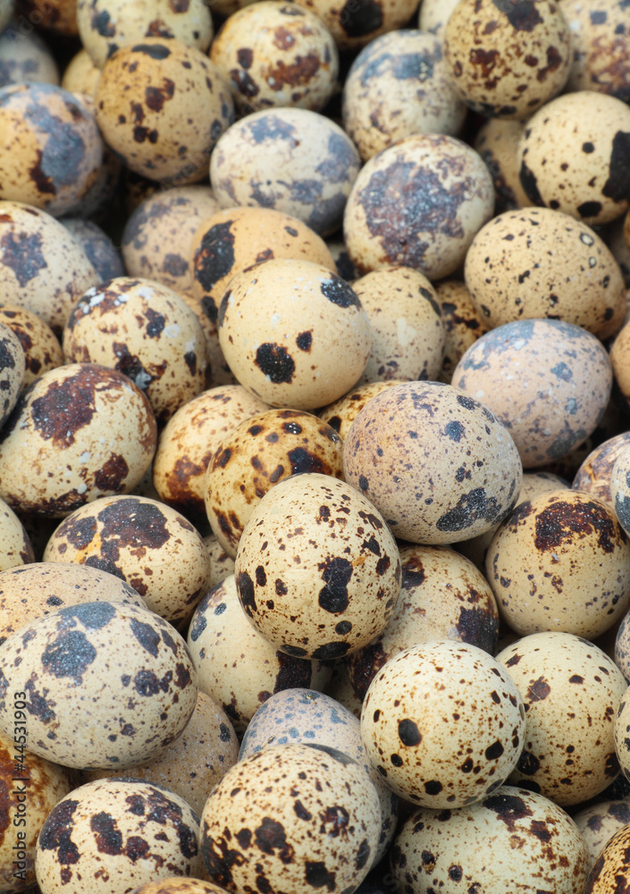 Quail eggs Quail eggs