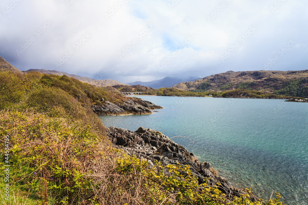 Fototapeta premium Rough lake landscape with bushes